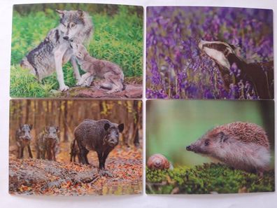 3 D Ansichtskarte Waldtiere Postkarte Wackelkarte Hologrammkarte Tier Waldtier