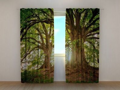 Fotogardine großer Baum Vorhang bedruckt Fotodruck Fotovorhang mit Motiv nach Maß