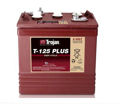 Trojan T125Plus 6V/240Ah Blockbatterie Deep Cycle Erstausrüsterqualität * NEU*