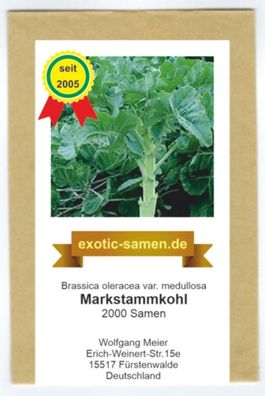 Markstammkohl - vergessenes Gemüse - Brassica oleracea - 2000 Samen