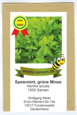 Grüne Minze, Spearmint - Mentha spicata (1500 Samen)