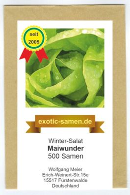 Winter-Kopfsalat - Maiwunder - 500 Samen