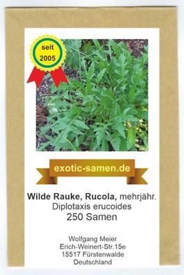 Rucola - Wilde Rauke - mehrjährig - Diplotaxis erucoides - 250 Samen