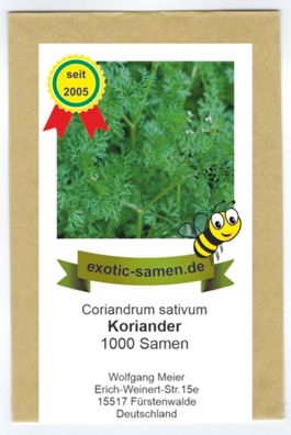 Koriander - Coriandrum sativum (100 Samen)
