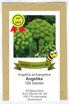 Echter Engelwurz – Angelica archangelica – Gewürz- und Arzneipflanze - 150 Samen