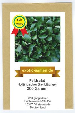 Feldsalat - Rapunzel - Holländischer Breitblättriger - ertragreich - 300 Samen