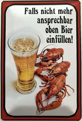 Blechschild 30 X 20 cm Bier Spruch