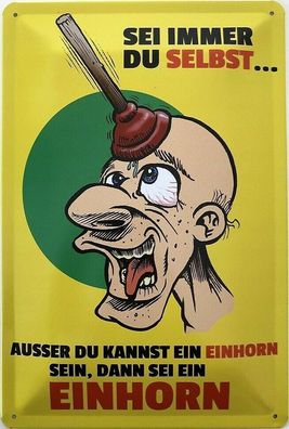 Blechschild 30 X 20 cm Spruch Einhorn