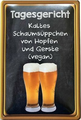 Blechschild 30 X 20 cm Spruch: Tagesgericht Kaltes Schaumsüppchen