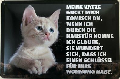 Blechschild 30 X 20 cm Spruch: Katze