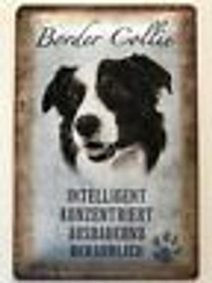 Blechschild 30 x 20 cm Hund - Border Collie