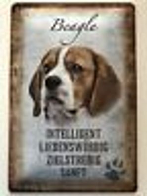 Blechschild 30 x 20 cm Hund - Beagle