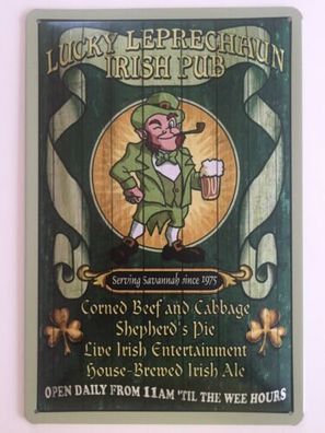 Blechschild 30 X 20 cm Irish Pub