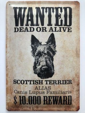 Blechschild 30 X 20 cm Wanted Dead or Alive Scottish Terrier