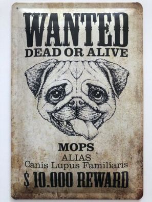 Blechschild 30 X 20 cm Wanted Dead or Alive Mops