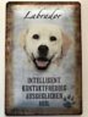 Blechschild 30 x 20 cm Hund - Labrador