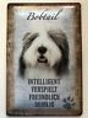 Blechschild 30 x 20 cm Hund - Bobtail