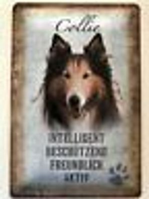 Blechschild 30 x 20 cm Hund - Collie