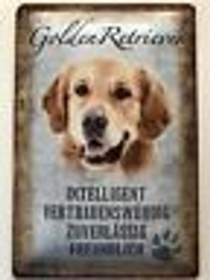 Blechschild 30 x 20 cm Hund - Golden Retriever