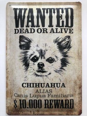 Blechschild 30 X 20 cm Wanted Dead or Alive Chihuahua