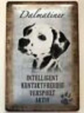 Blechschild 30 x 20 cm Hund - Dalmatiner