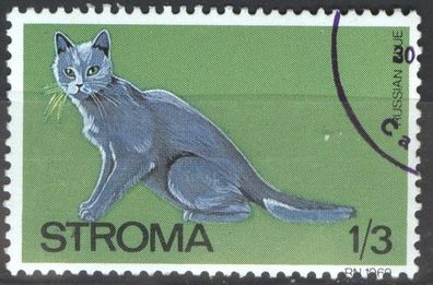 Stroma Katze Russisch Blau gest mot951