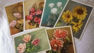 Postkarte/ Glückwunschkarte alt Blumen 6x Pos M10