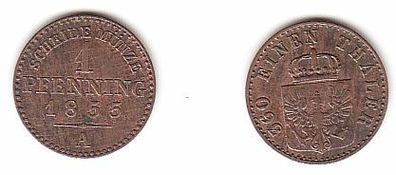 1 Pfennig Kupfer Münze Preussen 1855 A