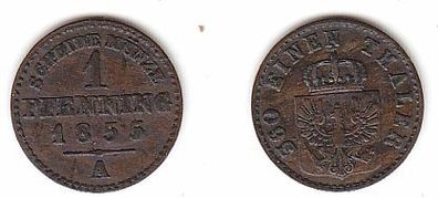 1 Pfennig Kupfer Münze Preussen 1855 A ss