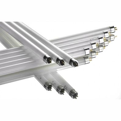GE Tungsram 155/500 Starter für 4 bis 65 Watt Leuchtstoffröhren T5 T8 T12  und Kompaktleuchtstofflampen, 4 Stück : : Beleuchtung