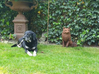 Neu!! Fuchs, Figur, Tier Skulptur, Gusseisen