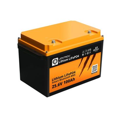 Liontron Lithium LiFePo4 Akku 26 kg 25,6V 100Ah Versorgungsbatterie