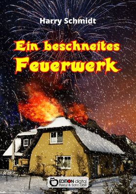 Ein beschneites Feuerwerk: Sinnsuche und Liebesleben der Ulrike B. in zwei ...