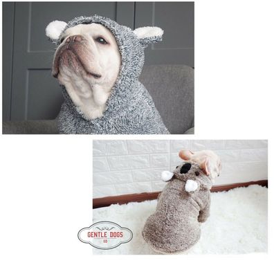 Hundepullover, TOP Qualität, Ideal für Französische Bulldogge, in Grau & Gold