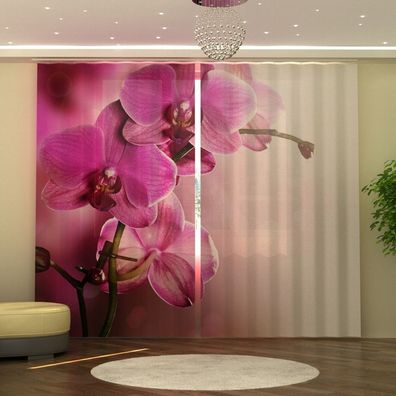 Fotogardine Orchidee, Vorhang 245x290 cm, Fotovorhang 3D, Fertiggardine mit Motiv
