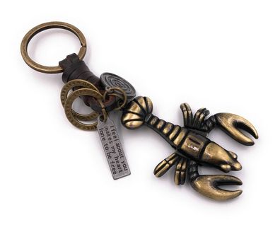 Schlüsselanhänger Skorpion Insekt Spinnentier bronze Leder Anhänger Keychain