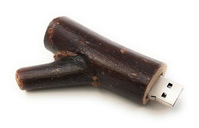 Baumstamm aus echtem Holz Unikat Funny USB Stick div Kapazitäten