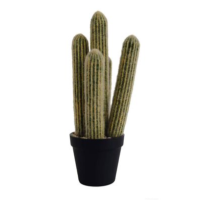ASA Selection Kaktus Silberkerze im Topf Dekoration 39cm grün Zimmerpflanze