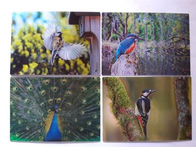 3 D Ansichtskarte Vogel Pfau Postkarte Wackelkarte Hologrammkarte Tier Vögel