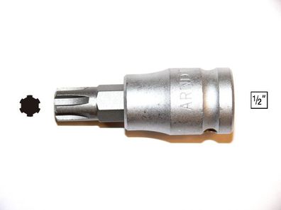 Bit Ribe M20 mit Stecknuss 1/2" , für Ratsche