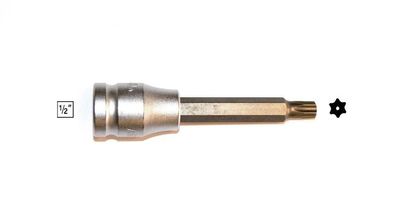 Bit Torx Tamper T25 mit Stecknuss 1/2" , 100mm lang , für Ratsche