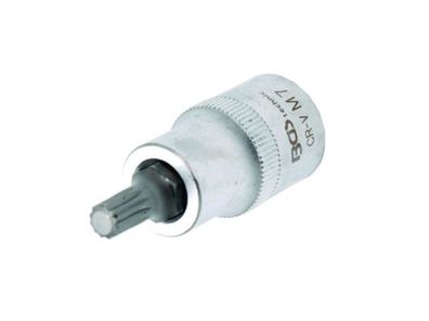 Bit Vielzahn M10 mit Stecknuss 1/2" , für Ratsche