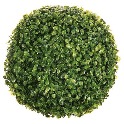 Boxwood D28