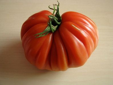 Ochsenherz Tomate Coeur de Boeuf Cuore di bue Giant Ox Heart Fleischtomate