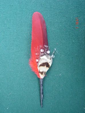 kleine Hutfeder Hutschmuck rot mit braun Feder ca 4cm für Herrenhut Art 24-33N