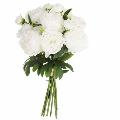 Blumenstrauß, Deko, 13 Pfingstrosen in Weiß, Höhe 50 cm