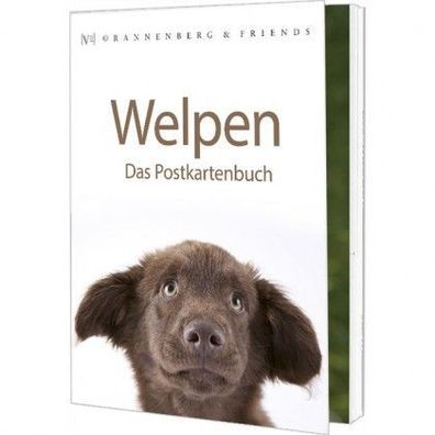 Postkartenbuch Welpen Postkartenbücher Ansichtskarte Postkarte Hunde Hund Welpe Tiere