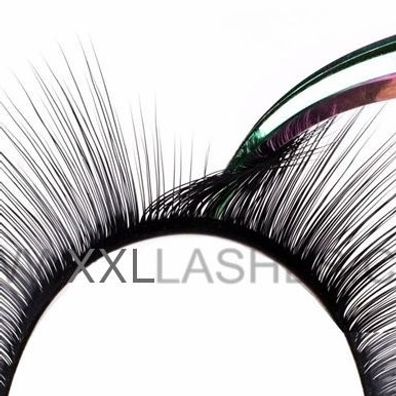 Camelia Mink Lashes, Innovation für Russian Volume 3D-6D / D-Curl-7-9-11