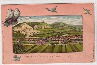 59575 Tauben Präge Ak Gruß aus Kahla an der Saale 1910