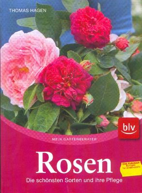 Rosen - Die schönsten Sorten und ihre Pflege